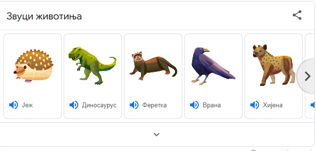 Anymals - Čitam, pišem, i još ponešto.